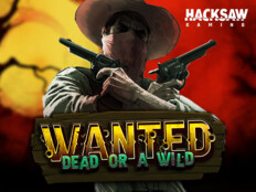 Wild jack casino10